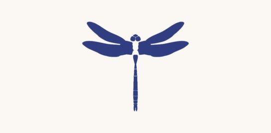 Discover Your Achilles Heel: Unlocking Your Greatest Weaknesses Through Personality Tests