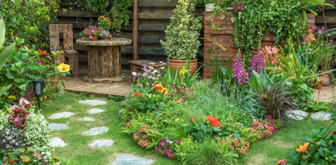 Six Spectacular Flowers to Plant in February for a Vibrant Summer Garden