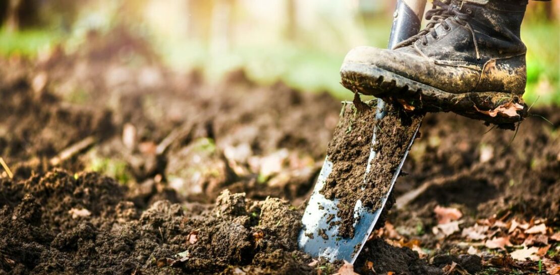 Gardening in February: A Comprehensive Guide to Prepping Your Garden for the Spring Season