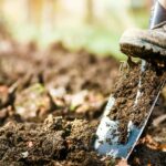 Gardening in February: A Comprehensive Guide to Prepping Your Garden for the Spring Season
