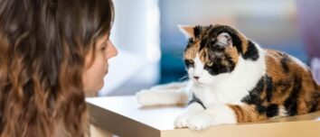 The Hidden Truth: Unraveling the Reasons Why Punishing Your Cat is a Big No-No