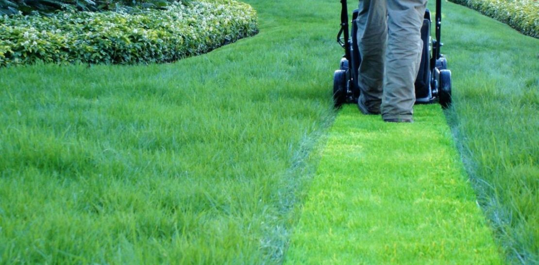 Winter Lawn Care Mastery: Unlocking the Secrets to a Stunning Spring Lawn