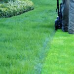 Winter Lawn Care Mastery: Unlocking the Secrets to a Stunning Spring Lawn