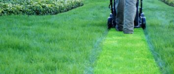 Winter Lawn Care Mastery: Unlocking the Secrets to a Stunning Spring Lawn