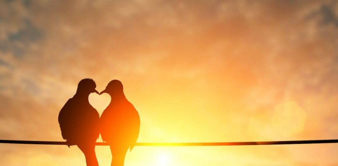 Unveiling the Enigma: 10 Undeniable Signs of Unstoppable Chemistry Between Two Souls