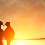 Unveiling the Enigma: 10 Undeniable Signs of Unstoppable Chemistry Between Two Souls
