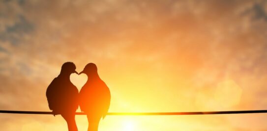 Unveiling the Enigma: 10 Undeniable Signs of Unstoppable Chemistry Between Two Souls