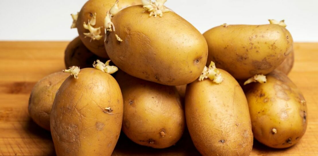 The Sprouted Potato Conundrum: To Eat or Not to Eat?