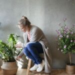 Unearth Prosperity and Luck: 5 Houseplants That Attract Good Fortune