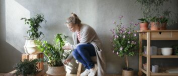 Unearth Prosperity and Luck: 5 Houseplants That Attract Good Fortune