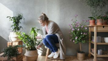 Unearth Prosperity and Luck: 5 Houseplants That Attract Good Fortune