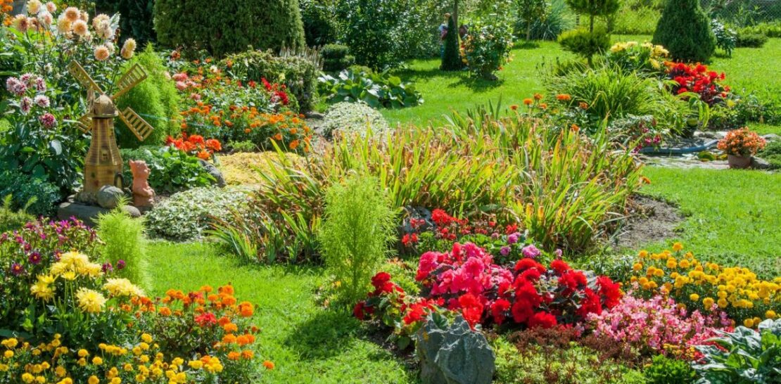 7 Marvelous March Bloomers: Plant Now for a Stunning Summer Garden