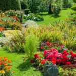 7 Marvelous March Bloomers: Plant Now for a Stunning Summer Garden