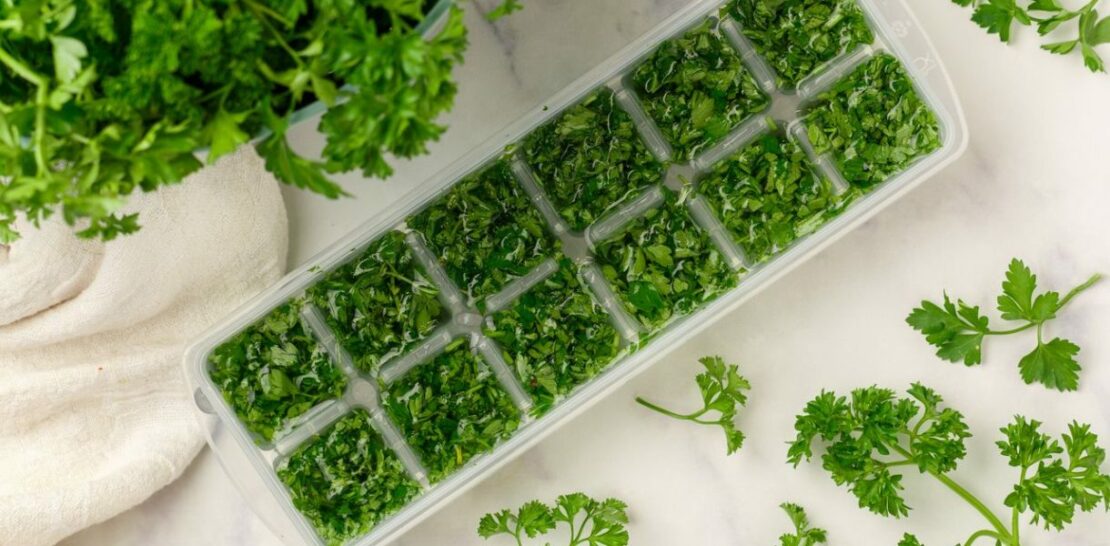 Preserve Your Parsley Perfection: Simple and Effective Tips to Keep Your Herbs Fresh and Flavorful