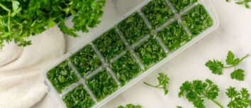 Preserve Your Parsley Perfection: Simple and Effective Tips to Keep Your Herbs Fresh and Flavorful