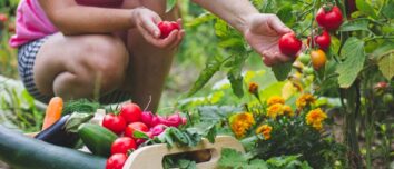 Unlock the Secret to a Bountiful Zucchini Harvest: Companion Planting for Success