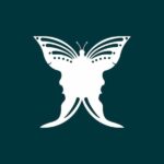 Unlocking the Secrets of Your Deepest Character Traits: The Power of Visual Personality Tests