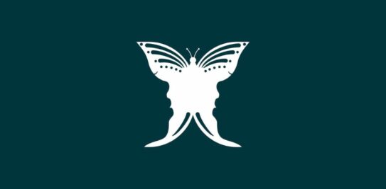 Unlocking the Secrets of Your Deepest Character Traits: The Power of Visual Personality Tests