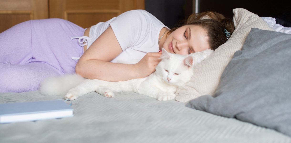 Unraveling the Feline Enigma Why Your Cat Insists on Sleeping with You Policital Insights