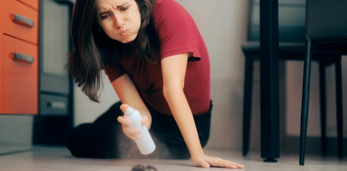 The Ultimate Guide to Banishing Ants from Your Home for Good