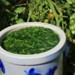 Tomato Purin: The Ultimate Natural Fertilizer for a Thriving Garden