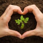 The Perfect Month for Planting Tomatoes: A Comprehensive Guide to Flavorful Summer Salads