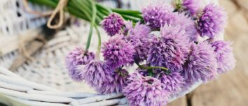 Cooking Chive Flowers to Impress: A Comprehensive Guide