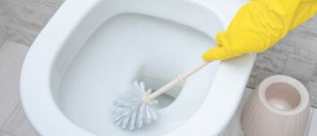 5 Astonishingly Effective Tips to Banish Limescale from Your Toilets