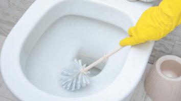 5 Astonishingly Effective Tips to Banish Limescale from Your Toilets