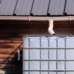 Rainwater Harvesting: Quenching the Thirst of Drought-Stricken Regions