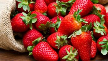 Cultivating Luscious Strawberries: A Comprehensive Guide for a Bountiful Harvest