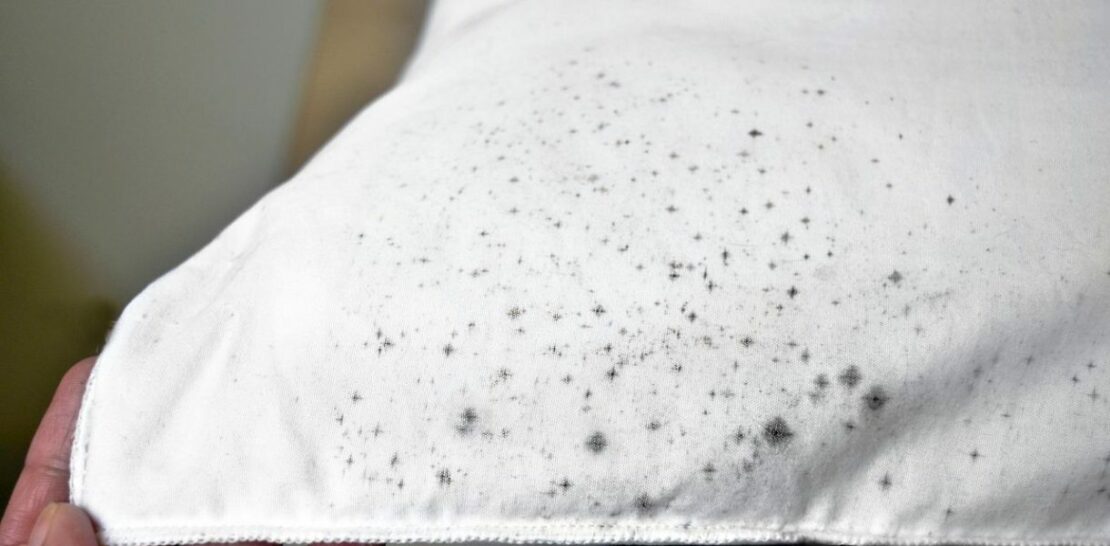 Unveiling the Secrets of Natural Mildew Stain Removal from Fabrics