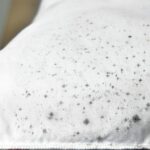 Unveiling the Secrets of Natural Mildew Stain Removal from Fabrics