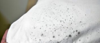 Unveiling the Secrets of Natural Mildew Stain Removal from Fabrics