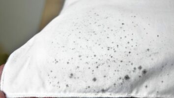 Unveiling the Secrets of Natural Mildew Stain Removal from Fabrics