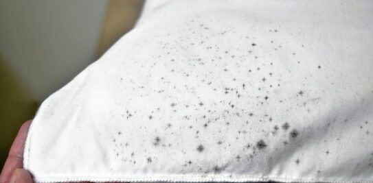 Unveiling the Secrets of Natural Mildew Stain Removal from Fabrics