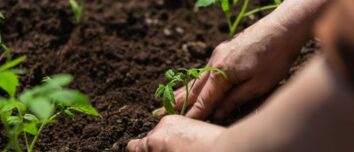 March Gardening Mastery: Planting, Sowing, and Harvesting Tips for a Flourishing Spring Garden