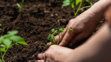 March Gardening Mastery: Planting, Sowing, and Harvesting Tips for a Flourishing Spring Garden