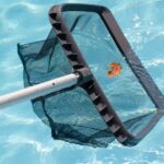 Master the Art of Summer Pool Care: 6 Essential Tasks for Daily Maintenance