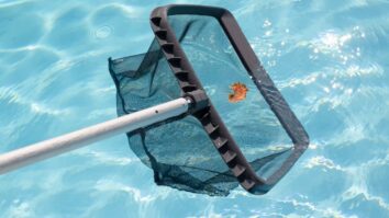 Master the Art of Summer Pool Care: 6 Essential Tasks for Daily Maintenance
